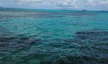 我深爱的一个小店