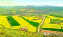 走，去田野踏青