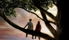 最怦然心动的遇见