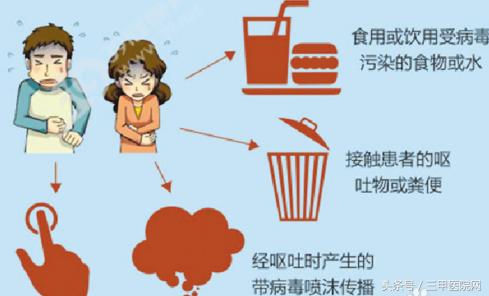 我是诺如病毒