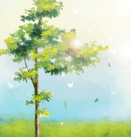 那棵树实际上与我有关