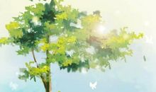 那棵树竟与我有关