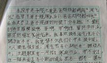 特别的我作文500字