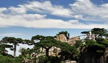 “只”畏浮云遮望眼