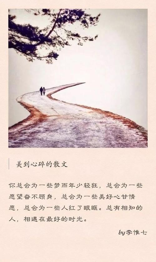 与宋词相遇