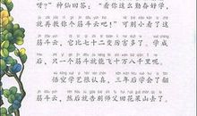 三国演义读后感400字