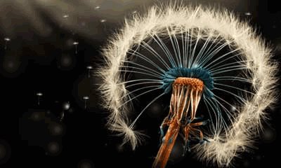 生活是……