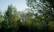 十五年后重返家乡