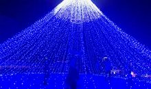 用笑容灌溉的种子