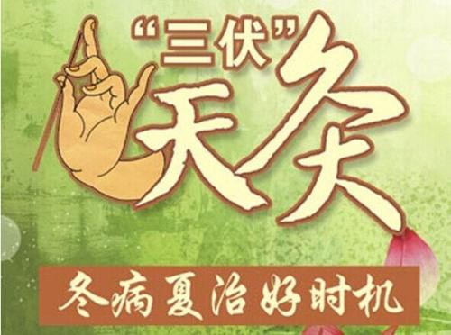 夏季的狗日