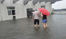 一场大雨见真情