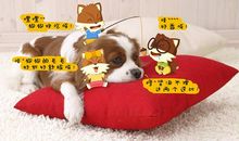 小狗笨笨萌萌哒