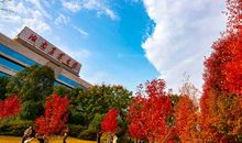 美丽的校园大道