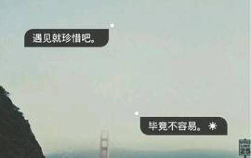 我了解爱