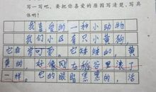 我最想养的动物二年级作文