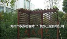 我爱学校的葡萄架