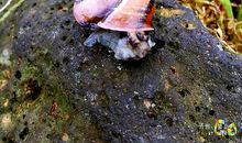 我要一点一点往上爬