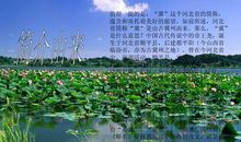 我的家乡——美丽河北