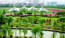 美丽的四季校园