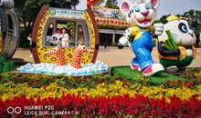 长隆动物园，我来了