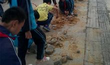 我体会到了劳动的辛苦