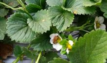 我与大自然的零距离