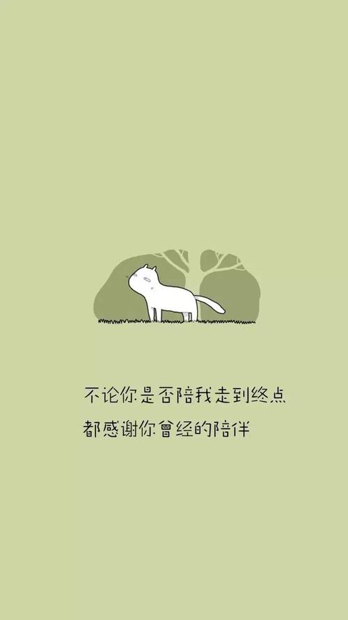 谢谢网络