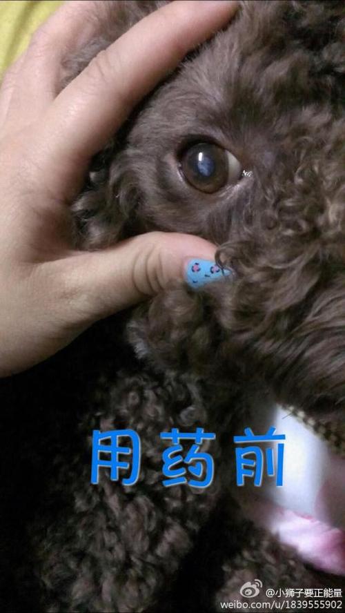 眼睛告诉我