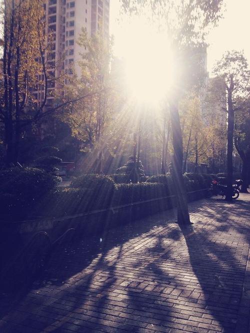 听早晨的声音
