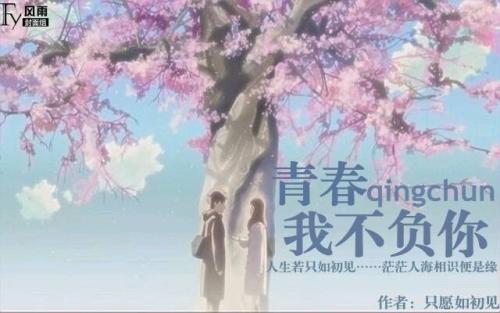 如果我不辜负我的青春