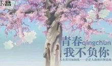 假如我不负青春