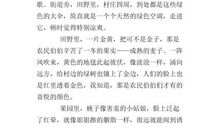 找夏天作文400字