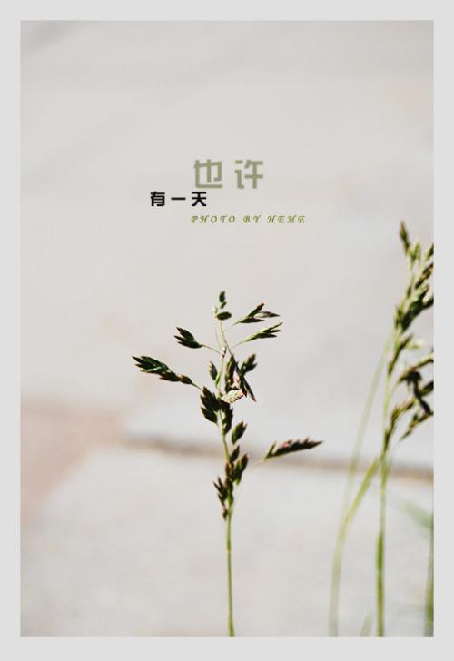 温暖的心