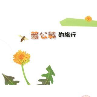 蒲公英皮箱