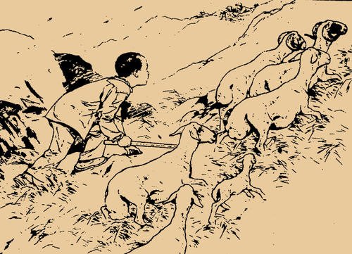 关于阅读《鸡毛信》的思考