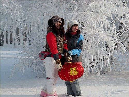 雪进入我的视线