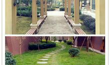 走过花季，遇见你了