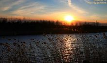 冬日暖阳作文600字