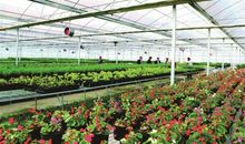 美丽的农业科技实践园