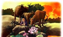 《王冕学画》读后感