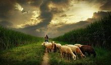 在自然中的生活