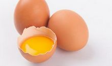 半个蛋壳作文二年级