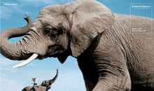 一则动人的公益广告