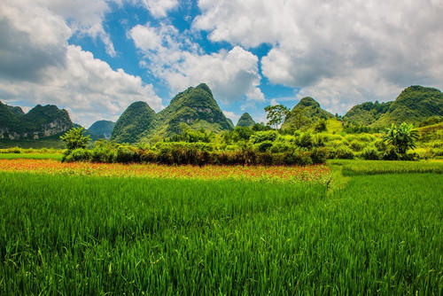 “笑兵”童欢