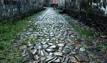 乐于助人的春雨