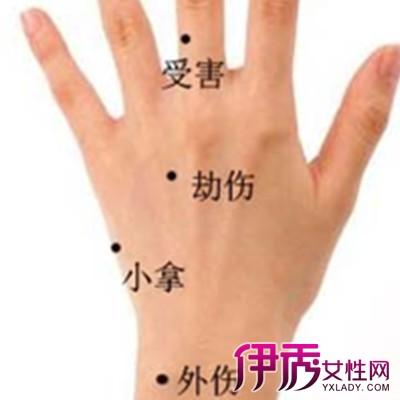 你的手背