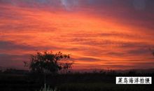 经历失败是甜的