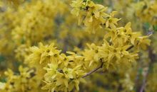 校园里的美镜头