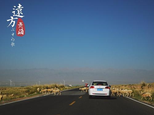 我想去那个地方