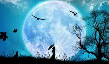 原来月亮一直都在